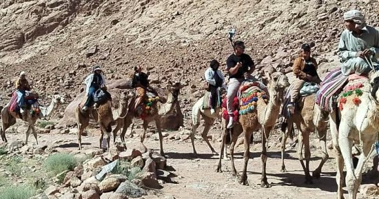 سانت كاترين تستقبل 590 سائحا وزائرا من مختلف الجنسيات