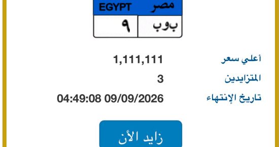 طرح لوحة  "ب و ب - 9" المميزة بسعر تخطى مليون جنيه في مزاد اللوحات