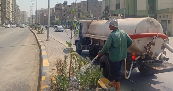 انطلاق مشروع تخضير الجيزة.. تجميل الطرق بأشجار سريعة النمو وقليلة استهلاك المياه