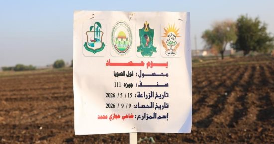 عيد الفلاح الـ74.. محافظ المنيا يشهد حصاد ودراس فول الصويا بقرية صفط اللبن