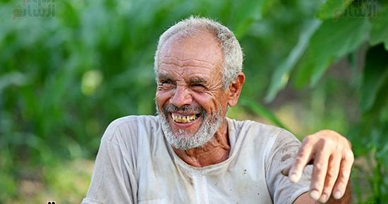 صناع الحياة.. مصر تحتفل بالذكرى 74 لعيد الفلاح