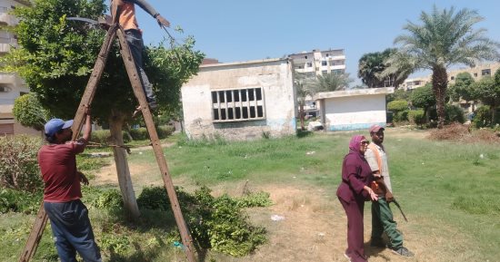 جهاز التطوير والتجميل يواصل رفع كفاءة المسطحات الخضراء والميادين بالإسماعيلية