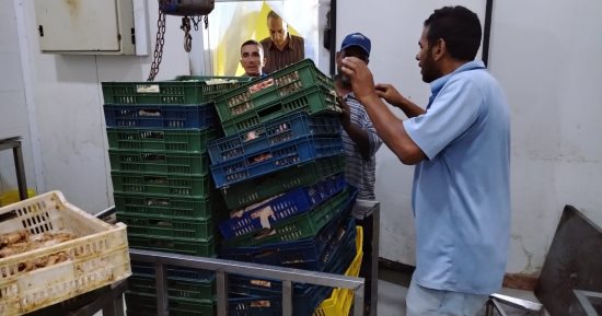 ضبط 1.450 طن من اللحوم والدواجن غير الصالحة للاستهلاك داخل منشأة مخالفة بالإسكندرية