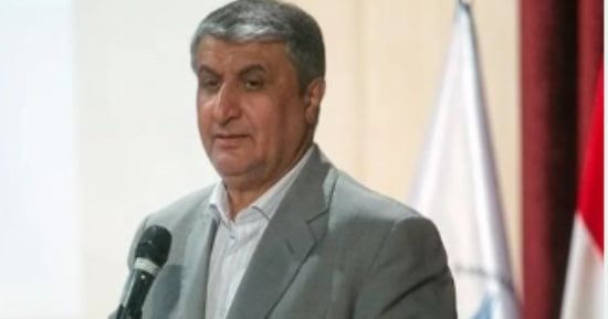 طهران تندد بسحب النمسا تأشيرة رئيس "الطاقة الإيرانية" ومنعه من حضور المؤتمر 