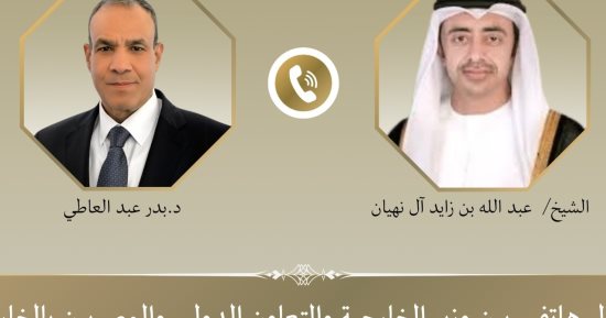 وزير الخارجية ونظيره الإماراتي يبحثان مستجدات الأوضاع الإقليمية