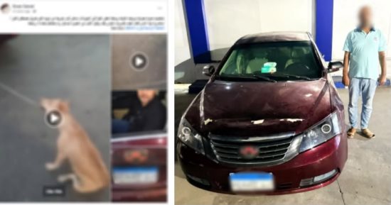 بسبب عقر عمه.. ضبط سائق ربط كلبا بسيارته وسحله بمنتزه الإسكندرية