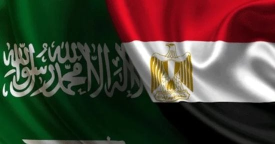 بين الفصحى والنبطي.. كيف جمع الشعر مصر والسعودية؟