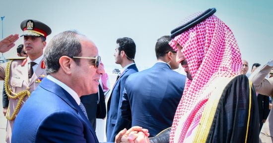 الرئيس السيسى يرحب بزيارة ولى العهد السعودى إلى مصر ويشيد بعمق العلاقات الأخوية