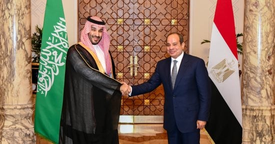 رئاسة الجمهورية: تطابق المواقف المصرية السعودية إزاء القضية الفلسطينية