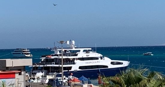 ضوابط جديدة لإحلال وتجديد المراكب.. توجيهات جديدة للآلاف اللنشات بالبحر الأحمر.. فحص فني قبل الإبحار وقاعدة بيانات شاملة وتشديد الرقابة على رحلات الدلافين والمراكب السريعة لحماية الركاب والبيئة البحرية.. صور