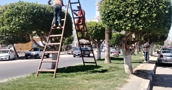جهاز التطوير والتجميل بالإسماعيلية يرفع كفاءة 30 فدانًا من المسطحات الخضراء