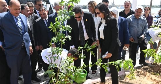 بالتزامن مع احتفال العيد القومى.. انطلاق فعاليات مبادرة معًا نزرع بمدينة رشيد