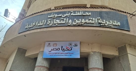 تحرير 490 محضرًا لمخالفات تموينية وبيئية وصحية ببنى سويف