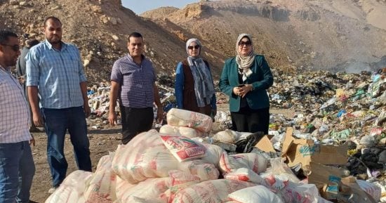 إعدام 4 طن سكر غير صالحة للاستهلاك الآدمي بعد ضبطها خلال حملات تموينية بسوهاج