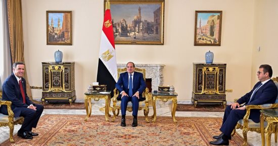 الرئيس السيسى يؤكد ضرورة تثبيت وقف إطلاق النار فى غزة وحماية المدنيين
