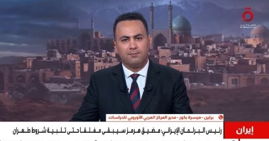 ميسرة بكور: مشروع عربى مشترك ضرورة لحماية المنطقة ووقف اضطرابها