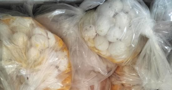 صحة جنوب سيناء تعدم أغذية ومشروبات غير صالحة خلال حملة مكبرة بطور سيناء