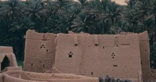 خبوب بريدة.. ذاكرة جسدت علاقة الإنسان بأرضه في منطقة القصيم بالسعودية