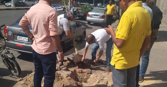زراعة أشجار بشارعى التحرير والسودان بالدقى ضمن مبادرة «اتحضر للأخضر»