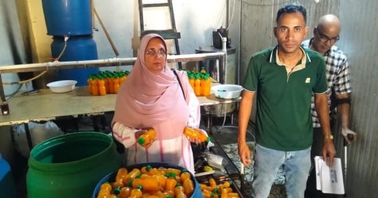 ضبط مصنع عصائر بالجيزة يستخدم مكسبات طعم وألوانًا صناعية مجهولة المصدر