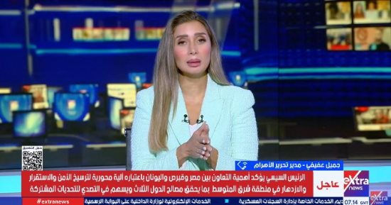كاتب صحفى: الشراكة المصرية القبرصية تعزز الأمن والاستقرار فى شرق المتوسط
