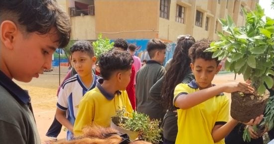 الجيزة تكثف برامج التوعية البيئية بالمدارس وتدرب الطلاب على زراعة الأشجار.. صور