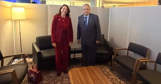 نبيل فهمي يبحث مع مسؤولة أممية تعزيز حماية الأطفال في مناطق النزاعات المسلحة