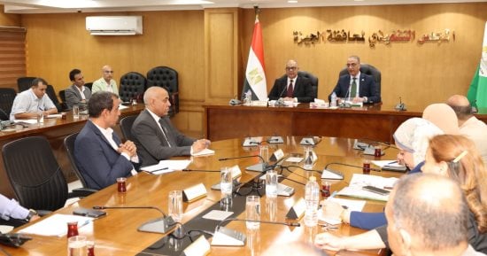 محافظ الجيزة يوجه بالتوسع فى المسطحات الخضراء والتشجير 