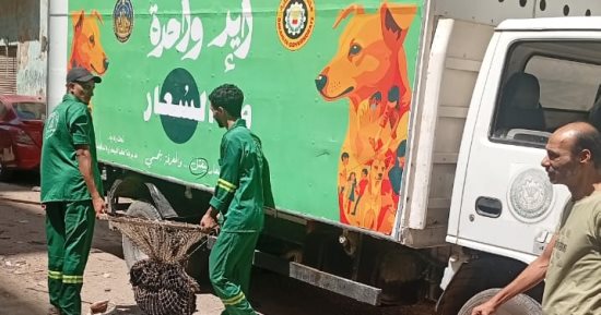 محافظ الدقهلية يكلف الطب البيطرى بتكثيف حملات مواجهة الكلاب الضالة