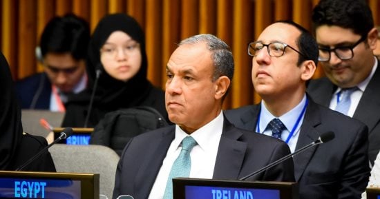 وزير الخارجية يشارك فى الاجتماع الوزارى للتحالف العالمى لتنفيذ حل الدولتين