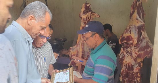 تحرير 25 محضر مخالفة وضبط لحوم غير صالحة للاستخدام خلال حملة مكبرة بجهينة
