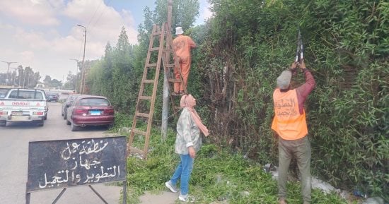 استمرار تطوير وتجميل شوارع الإسماعيلية.. رفع كفاءة 30 فدانا بالدائرى
