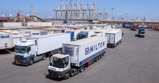 تداول 4000 طن بضائع بخط الرورو الملاحى فى ميناء دمياط