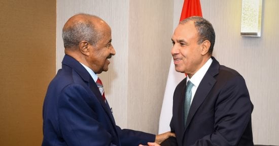 وزير الخارجية ونظيره الإريتري يبحثان سبل تعزيز العلاقات الثنائية والتنسيق إزاء القضايا الإقليمية - اليوم السابع