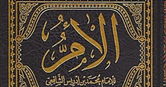 لو حابب تقرأ عن المذاهب الأربعة.. كتب تفتح لك أبواب الفقه الإسلامي