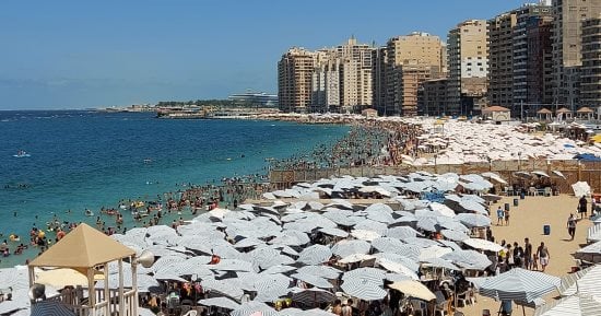 الإسكندرية تودّع موسم مصيف 2026.. المحافظة استقبلت نحو 3.2 مليون مصطاف.. الشواطئ شهدت نسب إشغال تراوحت بين 80 و100%.. ورفع كفاءة الشواطئ الحالية وتنظيم حفلات «شاطئ الفن» والبطولات الرياضية.. صور
