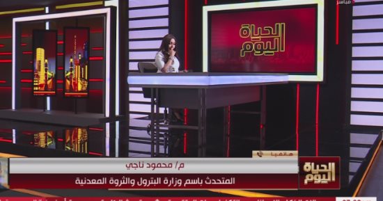 البترول: مسح جوي جديد للثروات المعدنية في مصر لأول مرة منذ الثمانينيات