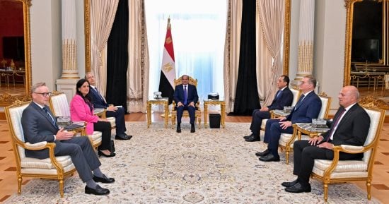 الرئيس السيسى يؤكد التزام الدولة بإنجاح استثمارات الشركات ورجال الأعمال بكافة المجالات
