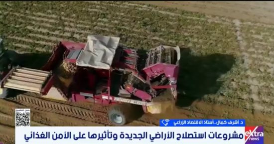 أستاذ اقتصاد زراعى: الدولة تتبنى استراتيجية متكاملة للأمن الغذائى