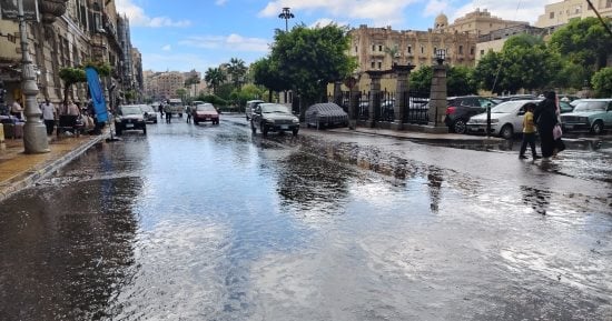 صورة الخبر