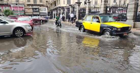 صورة الخبر