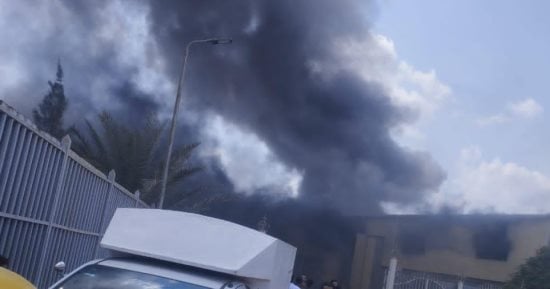 صورة الخبر