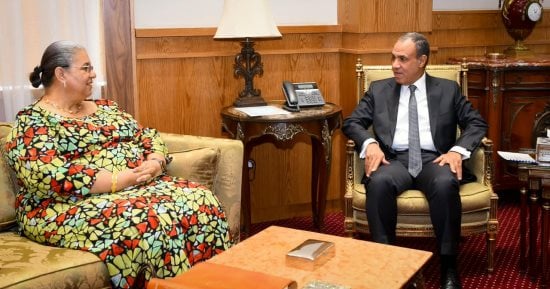 وزير الخارجية يبحث مع المبعوثة الأممية إلى ليبيا مستجدات العملية السياسية