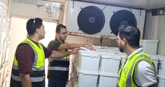 ضربات رقابية بالغربية.. ضبط 2.5 طن جبنة مخلوطة بالصودا الكاوية