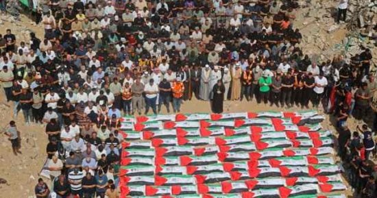 صورة الخبر