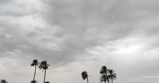 غيوم سوداء كثيفة وتوقعات بسقوط أمطار حالة الطقس اليوم بسوهاج.. فيديو