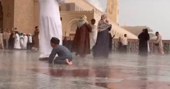 صورة الخبر