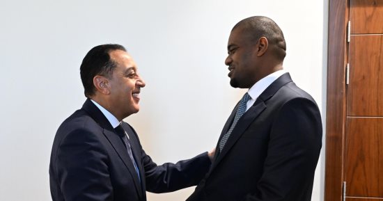 رئيس الوزراء يلتقي نائب رئيس جمهورية تنزانيا المتحدة بالعلمين الجديدة