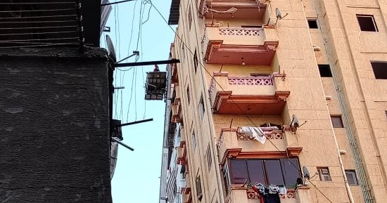 صورة الخبر