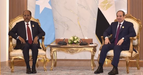 الرئيس السيسى يستقبل رئيس الصومال